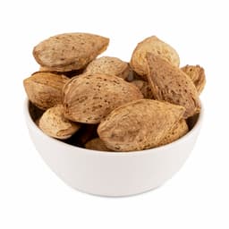 Badam Kadgi (with Shell) thumbnail 1